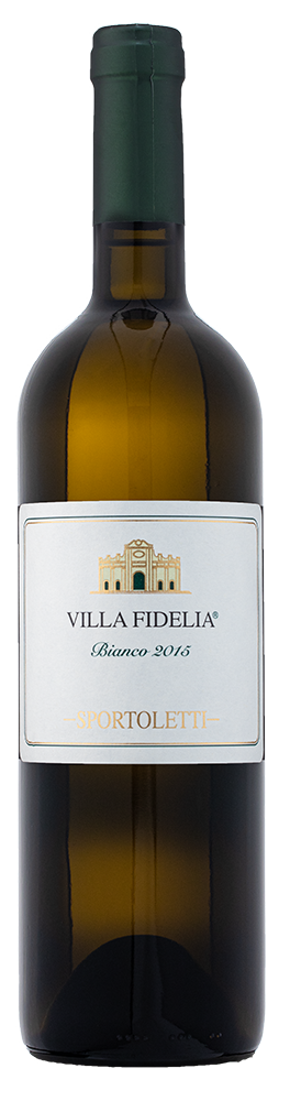 Villa Fidelia Bianco IGP
