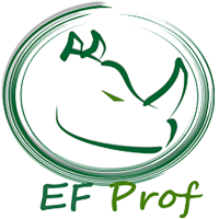 Entity Framework Profiler