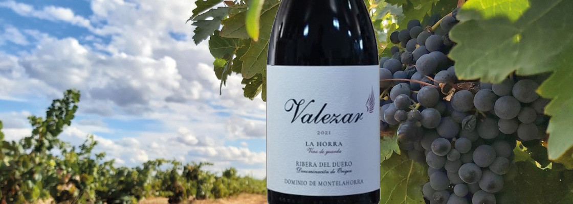 Dominio de MonteLaHorra, Ribera del Duero DO, Valezar
