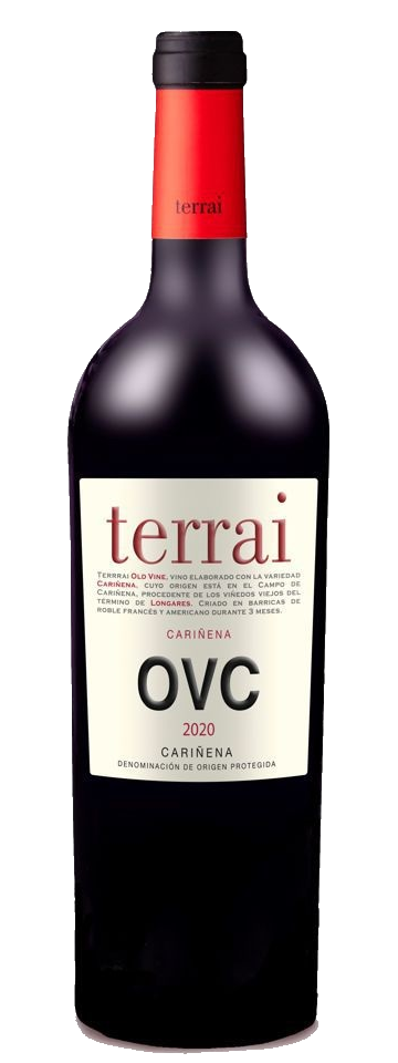 TERRAI OVC