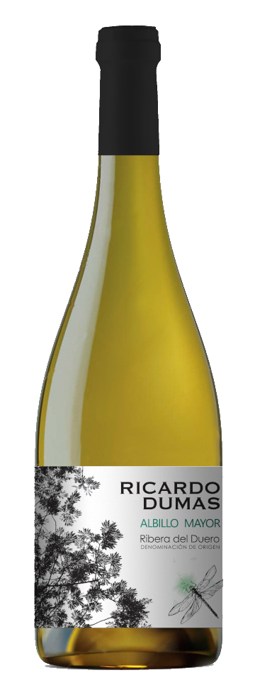 RICARDO DUMAS Albillo Mayor