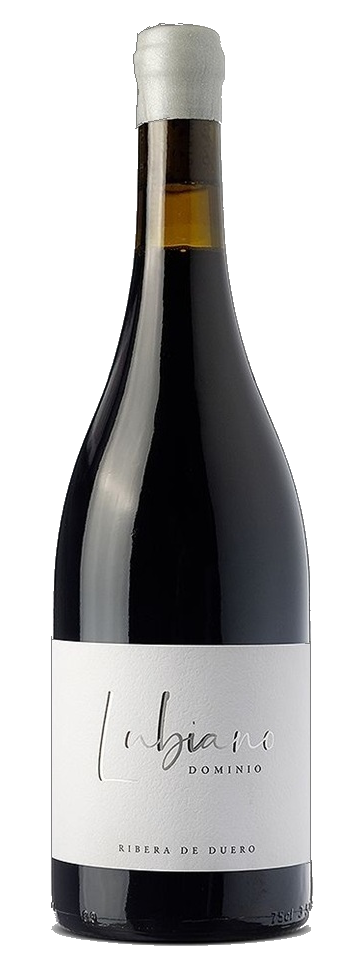 DOMINIO LUBIANO (14 Meses)