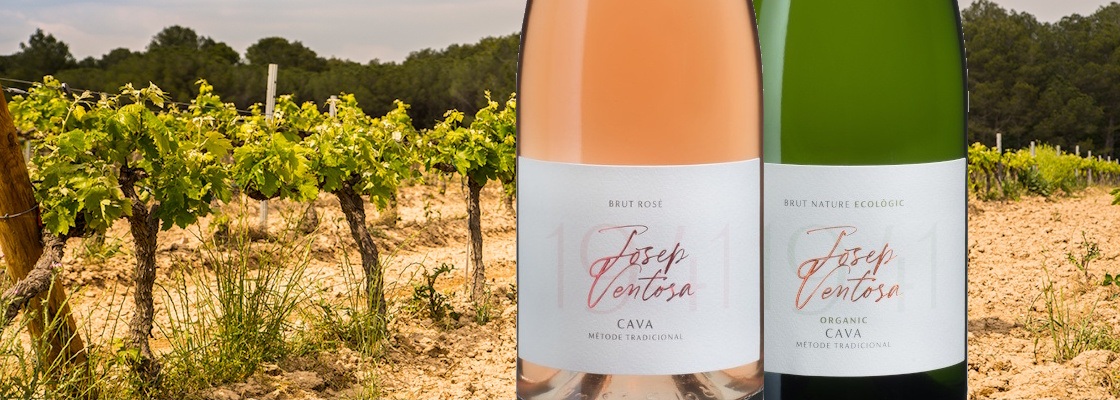 Celler Josep Ventosa, Cava DO