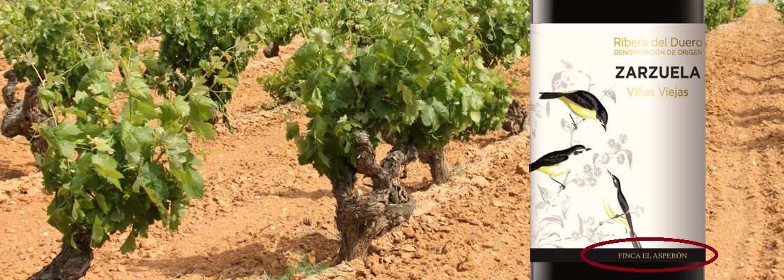 Dominio de MonteLaHorra, Ribera del Duero DO, El Asperón
